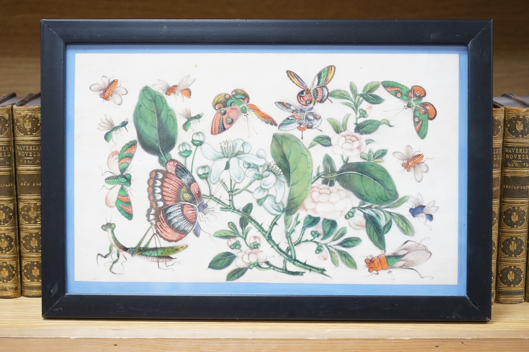 Chinese school, Study of butterflies and flowers, pith paper painting, 18 x 31cm